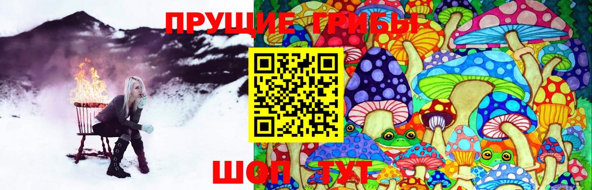Псилоцибиновые грибы прущие грибы  Вход с VPN  Дятьково 