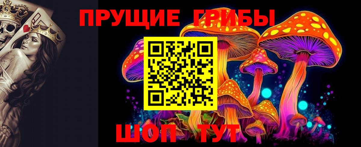 Псилоцибиновые грибы MAGIC MUSHROOMS Дятьково