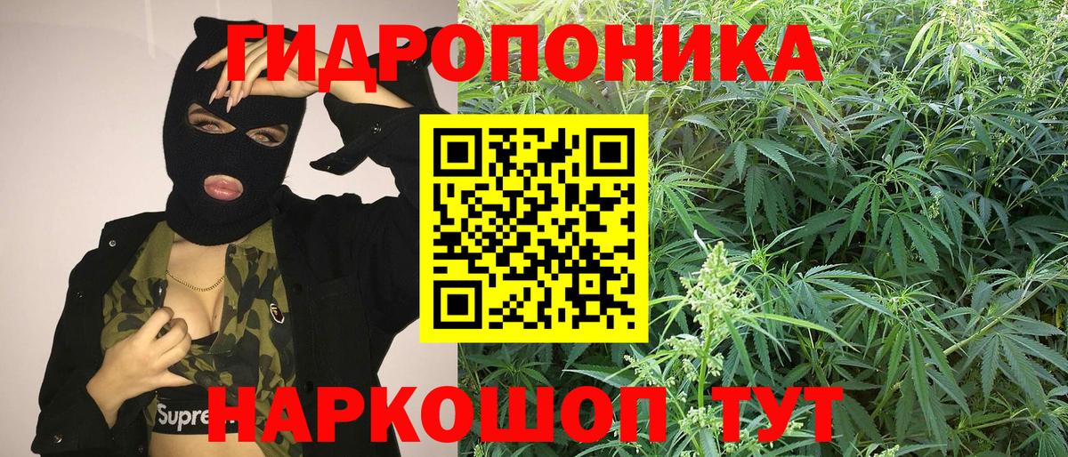 Дятьково  Бошки марихуана Ganja  Каннабис Bruce Banner  Конопля OG Kush  Вход с VPN  Конопля VHQ 